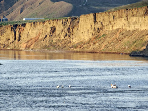 Strathcona Island Park-梅迪辛哈特必去景点