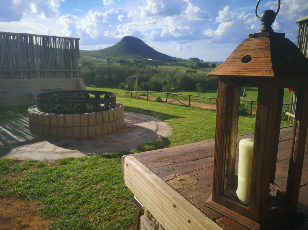 LIONSROCK Big Cat Sanctuary-伯利恒必去景点