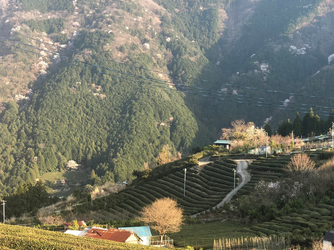 Tenku no Yuhodo-揖斐川町必去景点