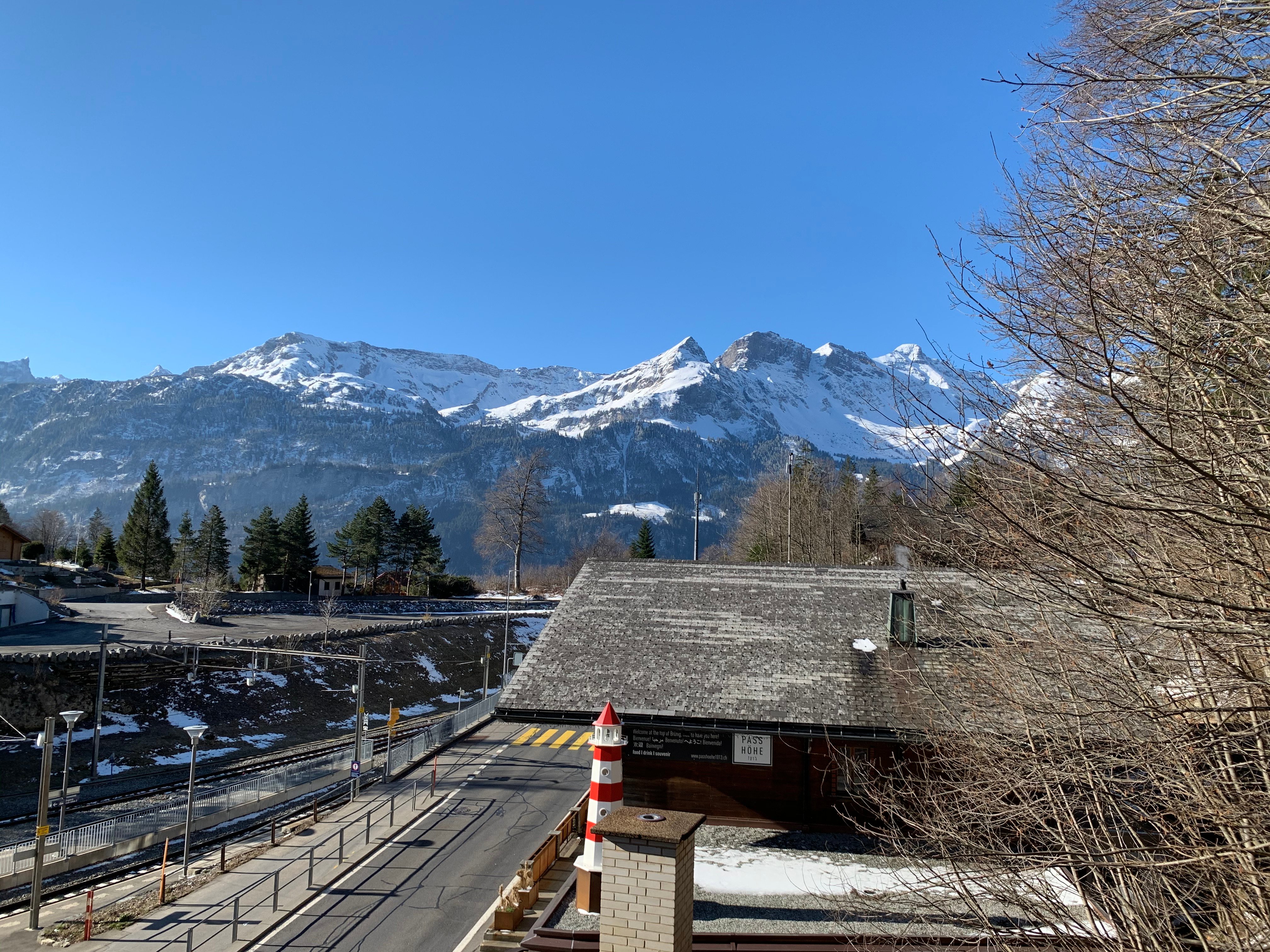 Brünig Lodge-酒店景观