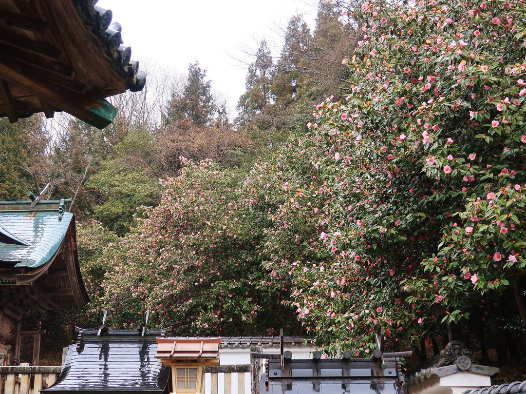 Wake Shrine景点图片