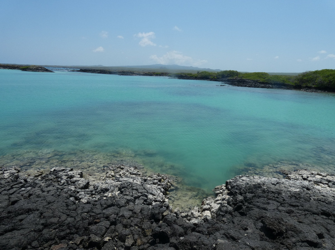 Rosa Blanca-圣克里斯托瓦尔必去景点