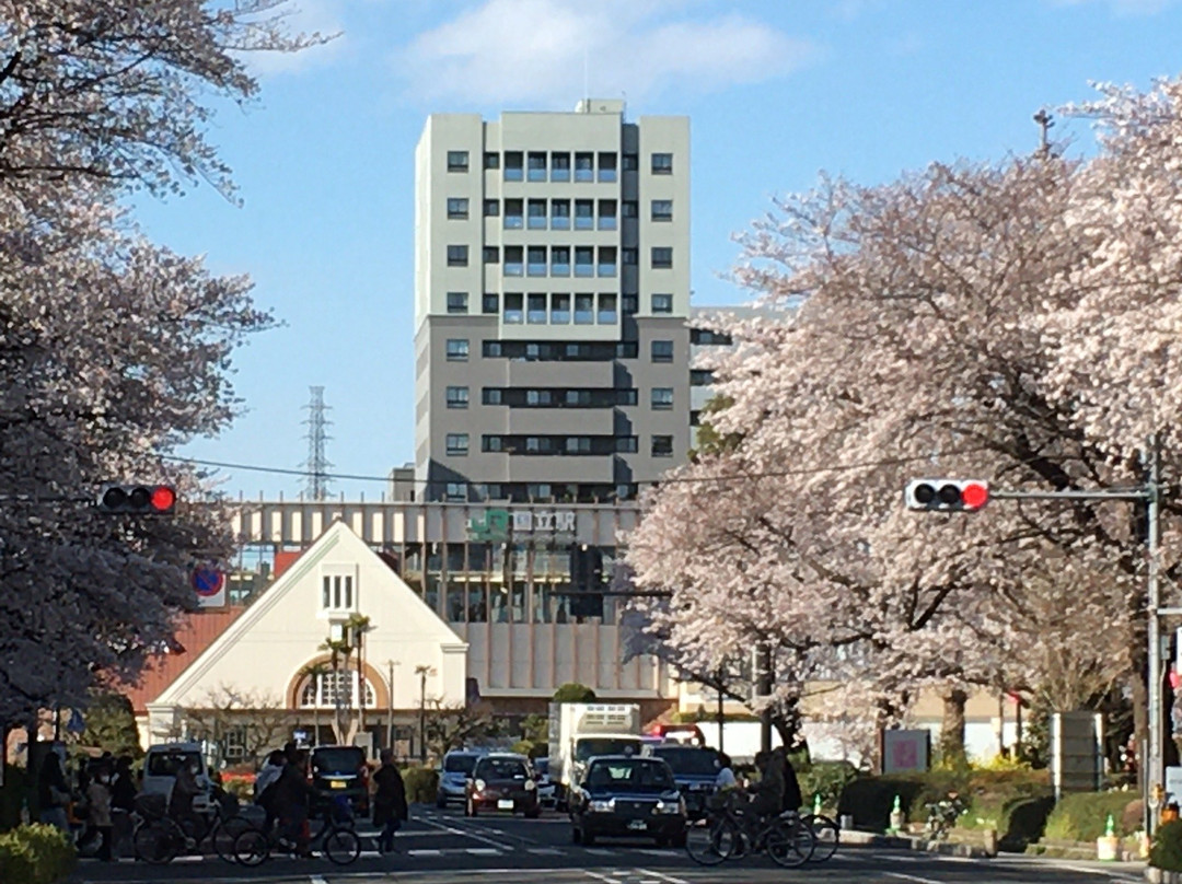 Daigakudori Street景点图片