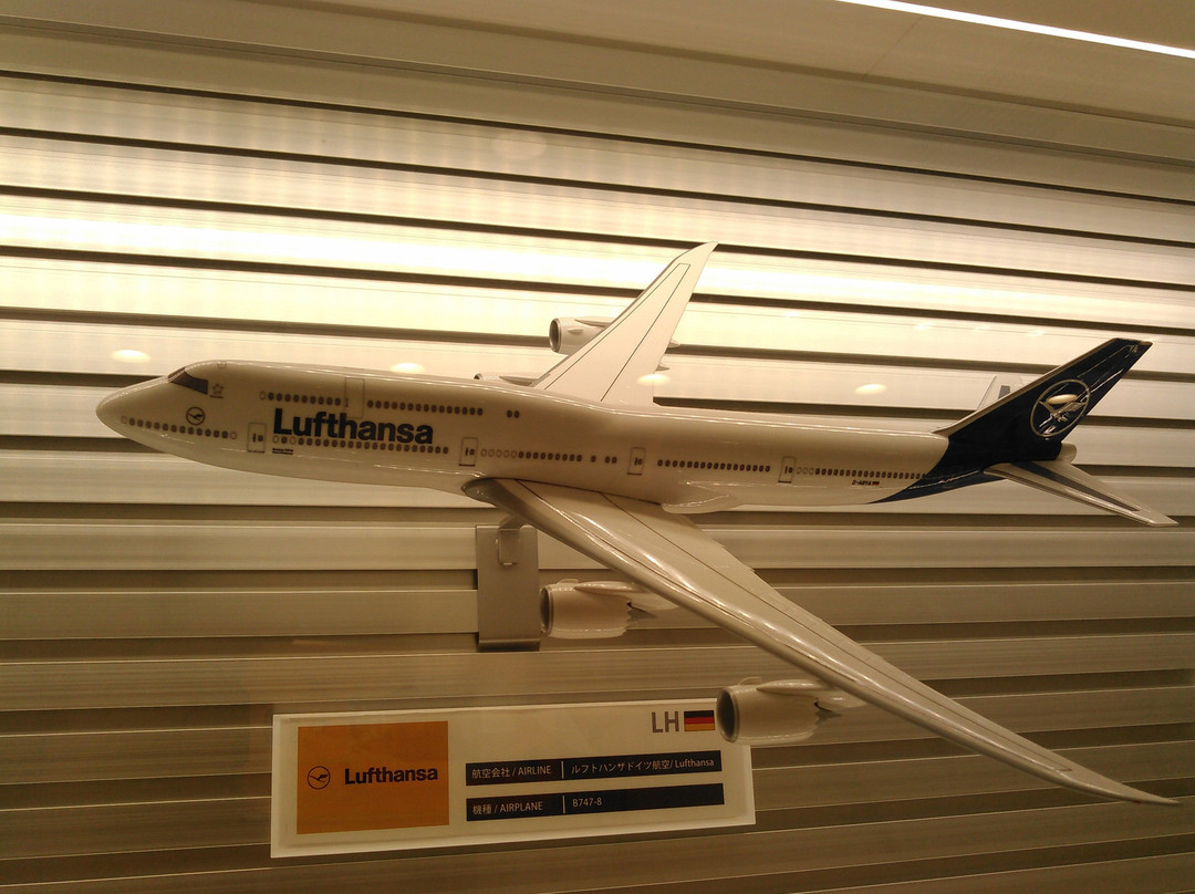 Tiat Sky Road-大田区必去景点