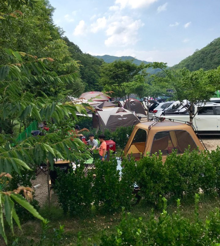 The Starry Night Pension&Camping主图