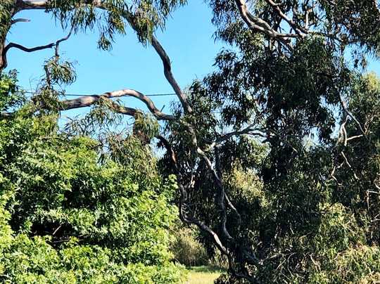 Oxley Creek Common-布里斯班必去景点