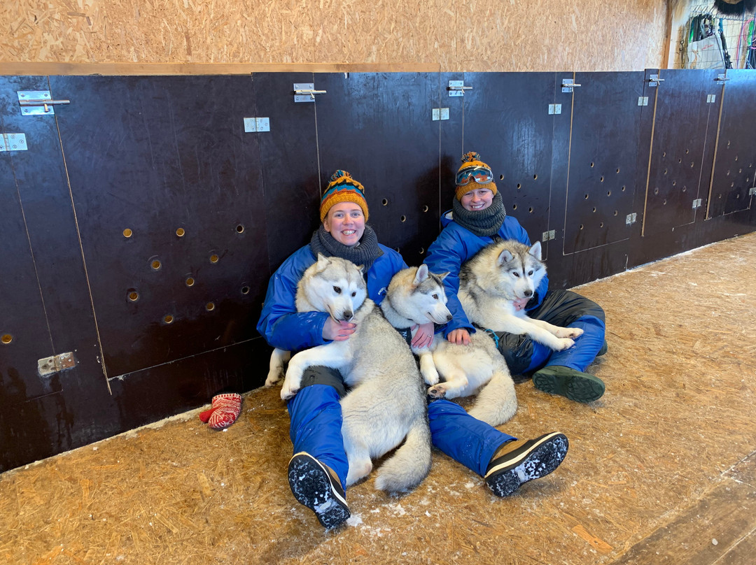 Snow Dogs-米湖必去景点