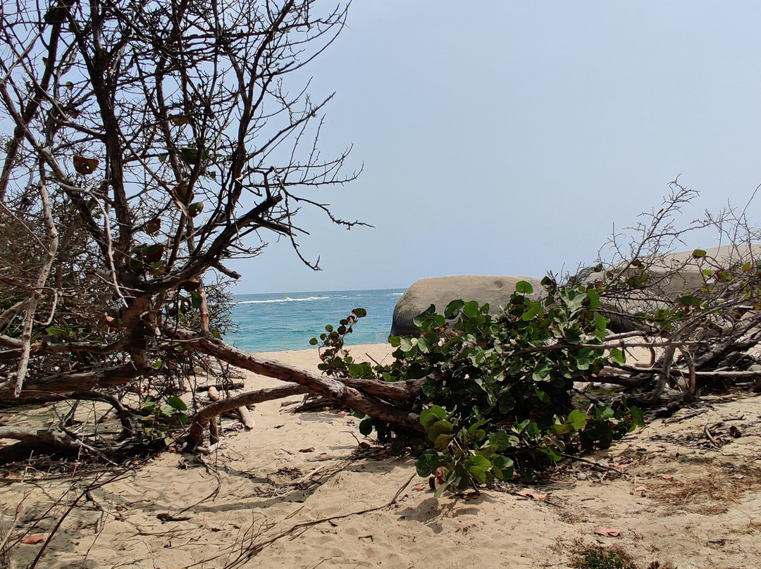 Iguanas Tours / Santa Marta景点图片