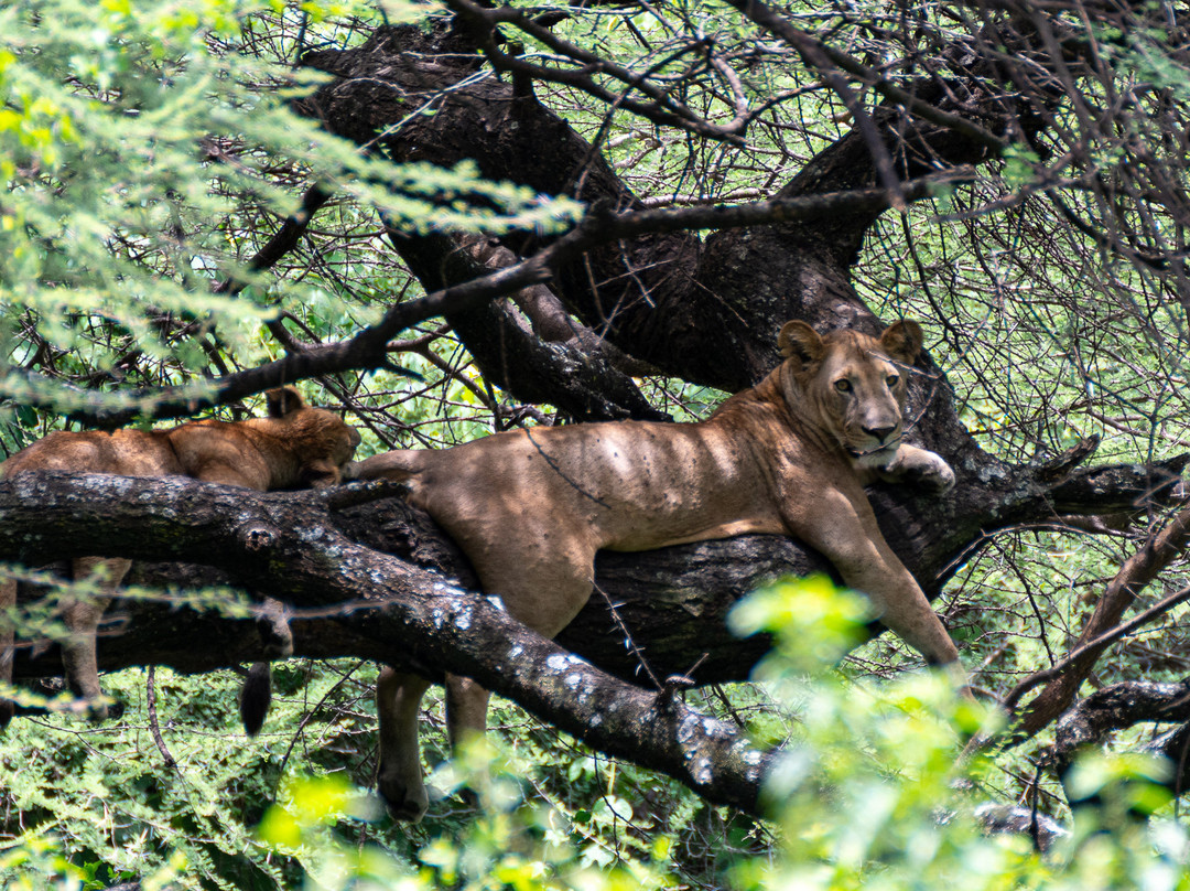 Awesome Wild Adventures-Dar es Salaam必去景点