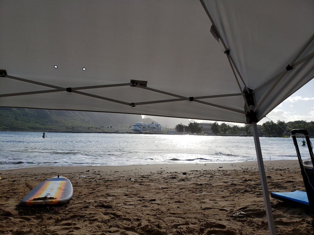 Tree Tunnel-可洛亚必去景点