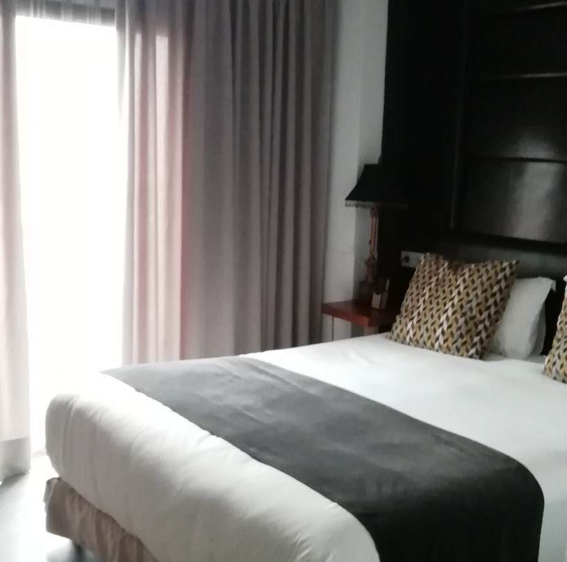Hotel Art Santander主图