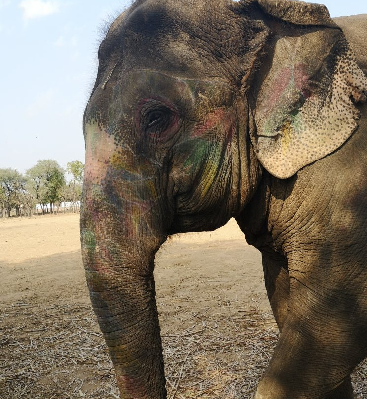 Ele Experience Farm-斋蒲尔必去景点