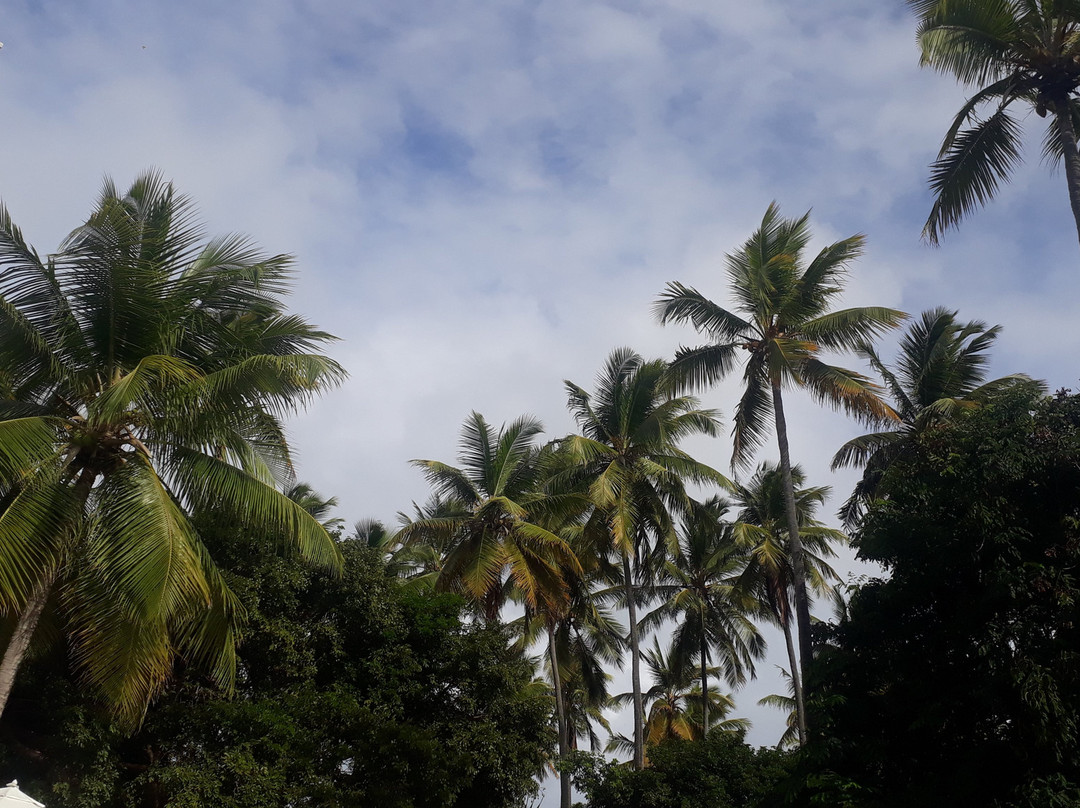 Pousada Terra Doce主图