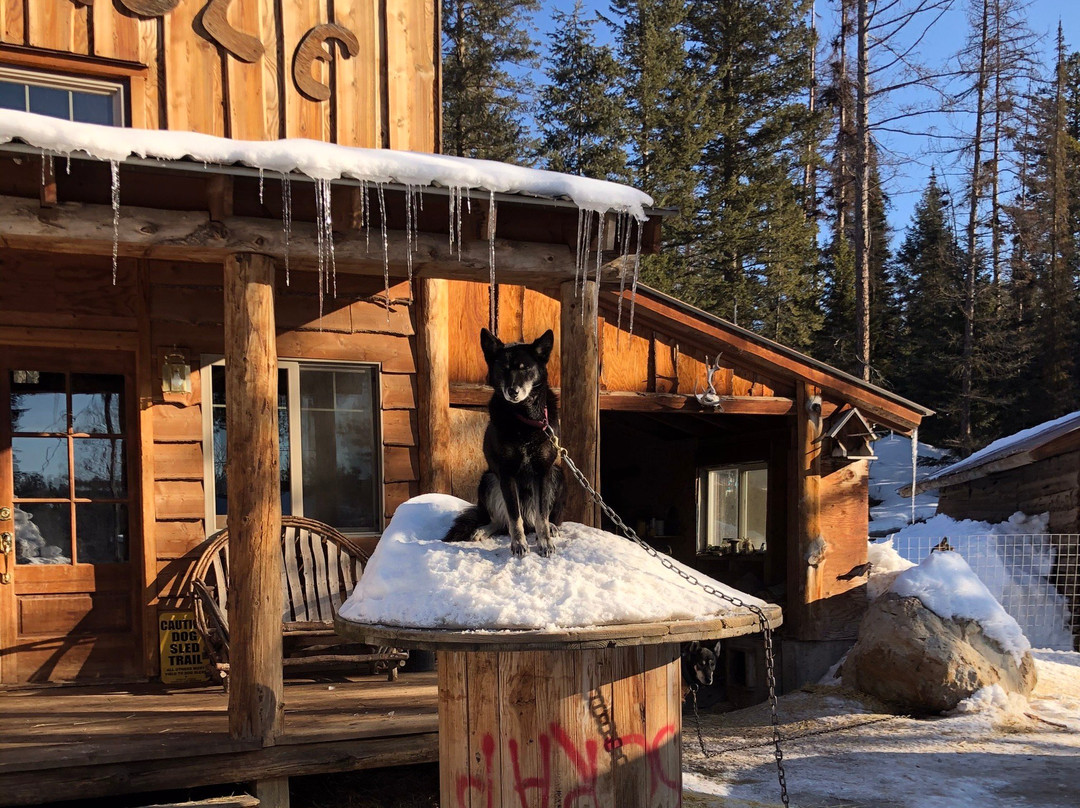 Dog Sled Adventures-Olney必去景点