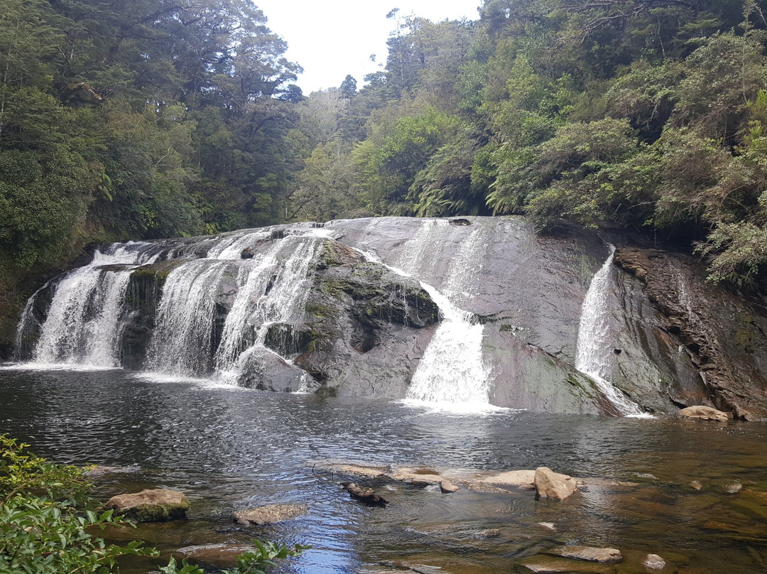Coal Creek Track景点图片