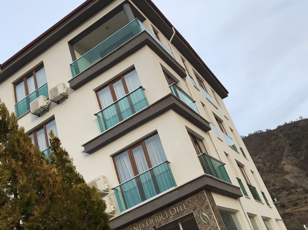 Grand Derici Otel - Cafe主图