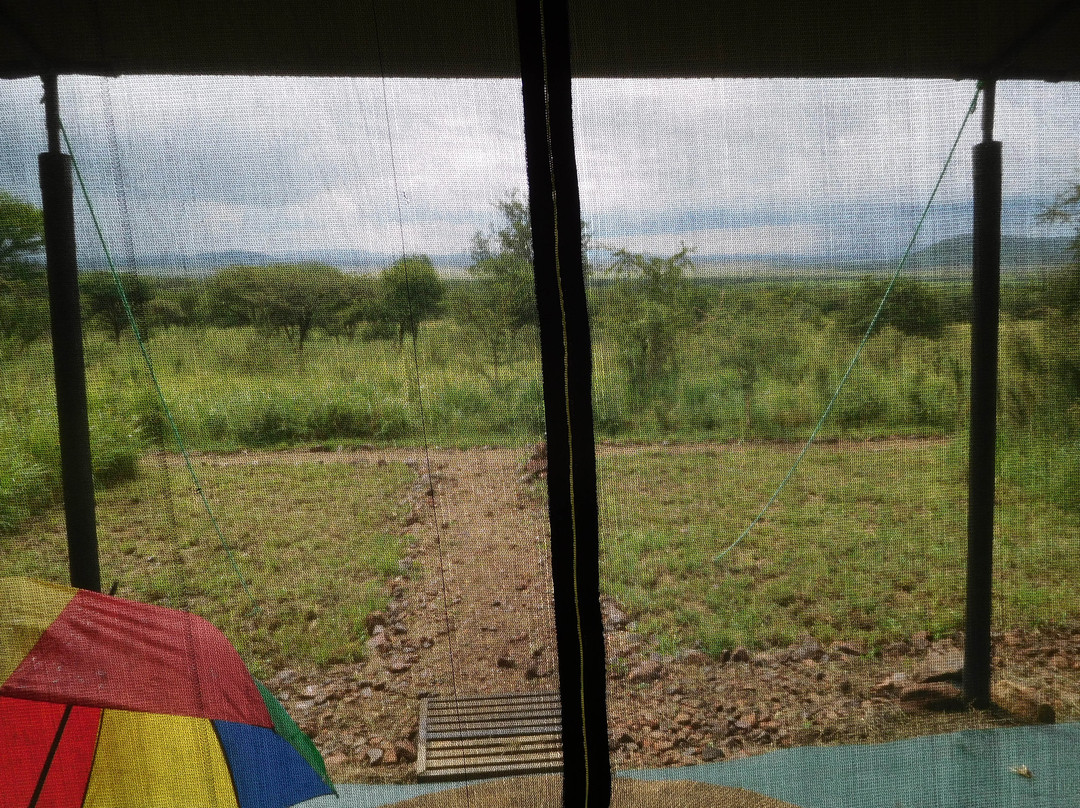 Serengeti Sons Safaris-阿鲁沙必去景点