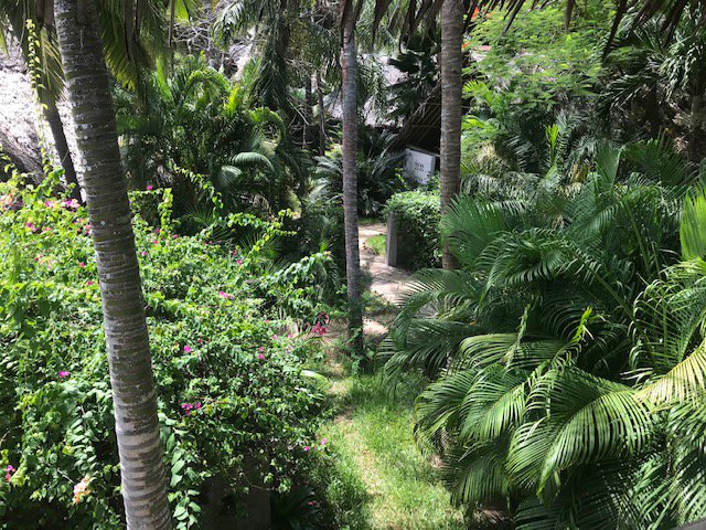 Shambani Cottages-浴室