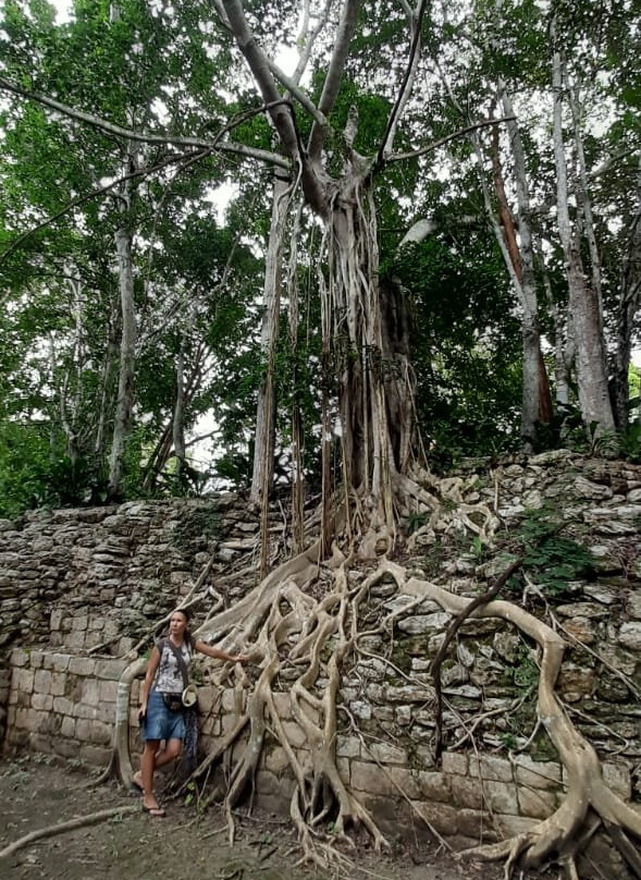 Kohunlich-金塔纳罗奥州必去景点