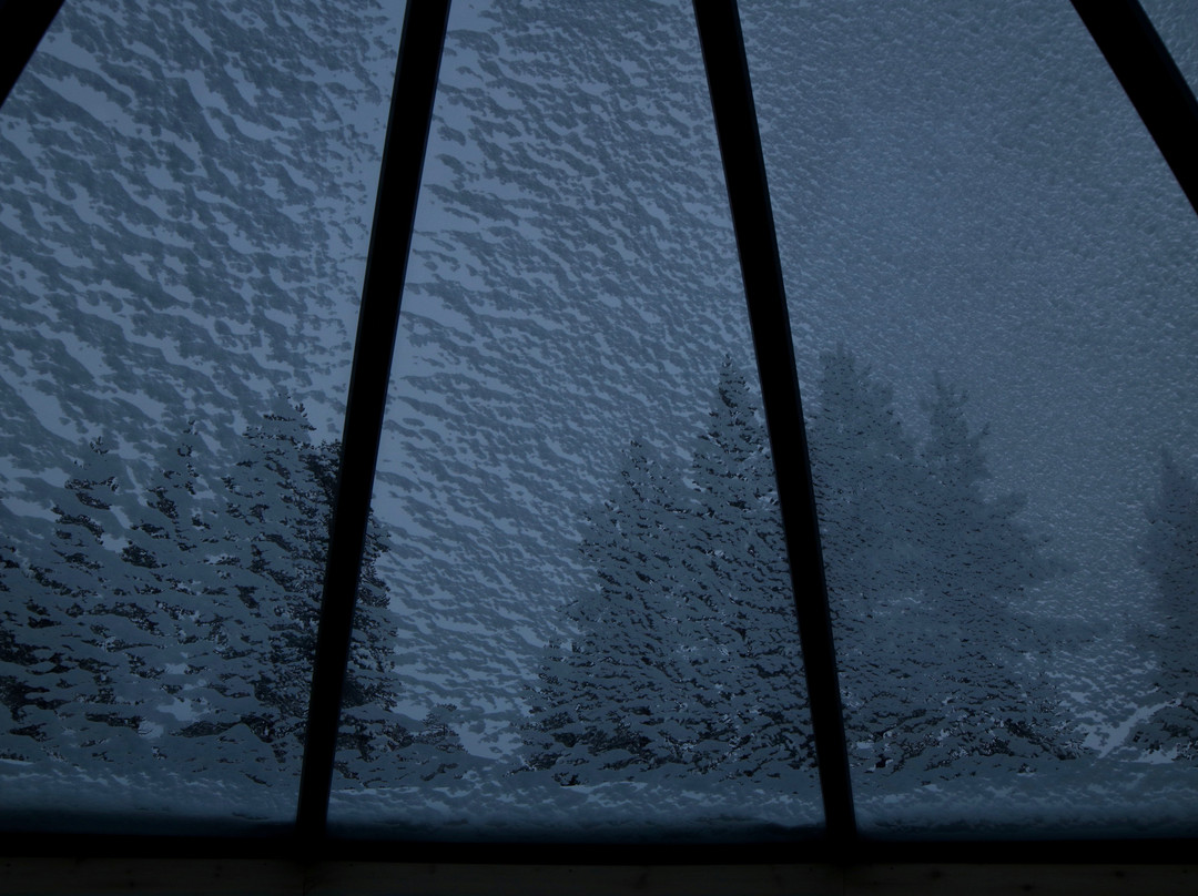 Wilderness Hotel Nangu主图