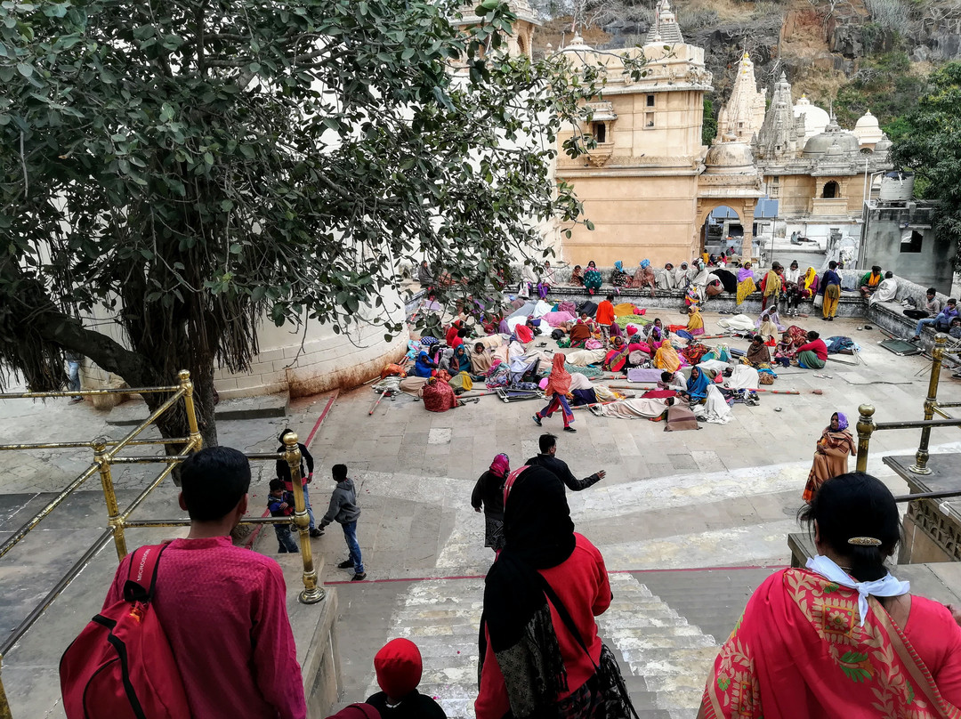 Shatrunjaya Hill Temple景点图片