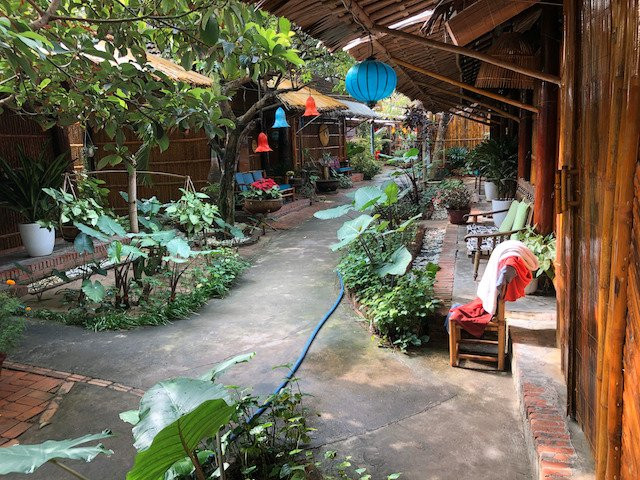 会安椰子树下民宿主图