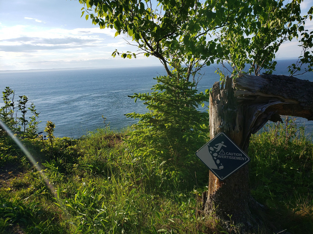 Thomas B. Munro Memorial Nature Preserve-Grand Manan必去景点