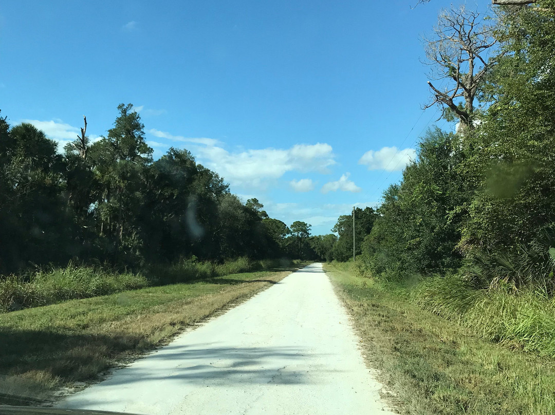 Lake Apopka Loop Trail-Apopka必去景点