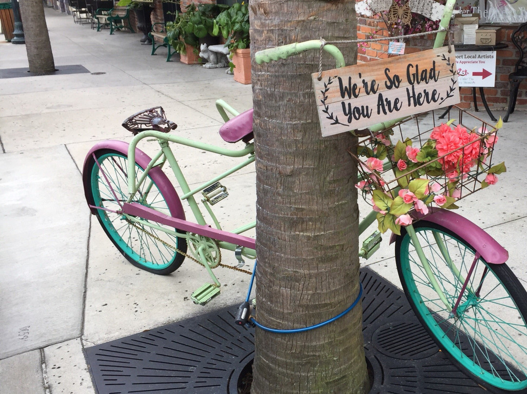 Under the Cherry Blossoms-Mount Dora必去景点