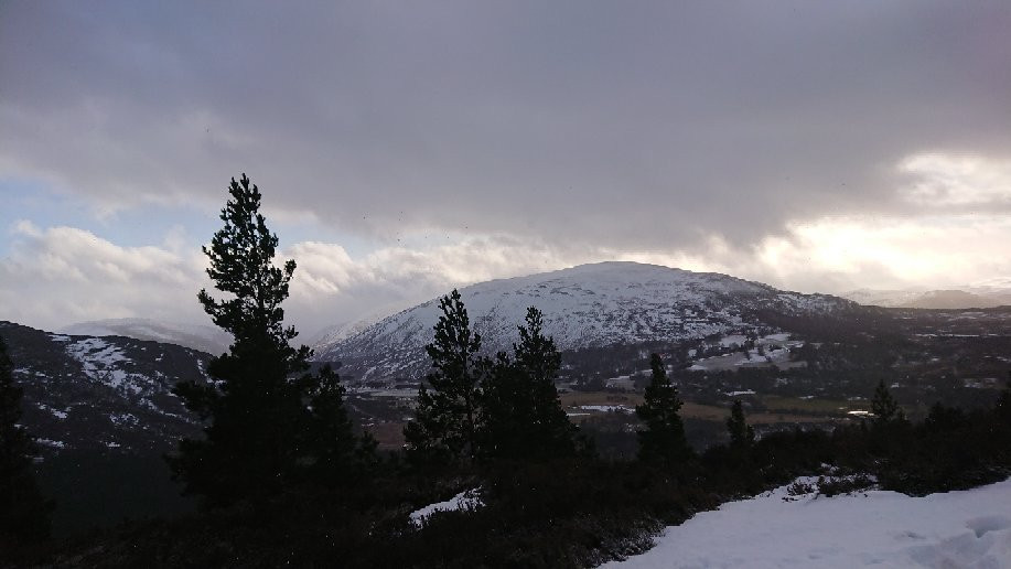 Creag Choinnich-Braemar必去景点