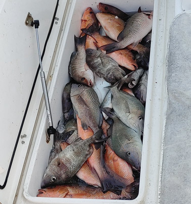 Reel-Ality Sportfishing Charters-迈尔斯堡海滩必去景点