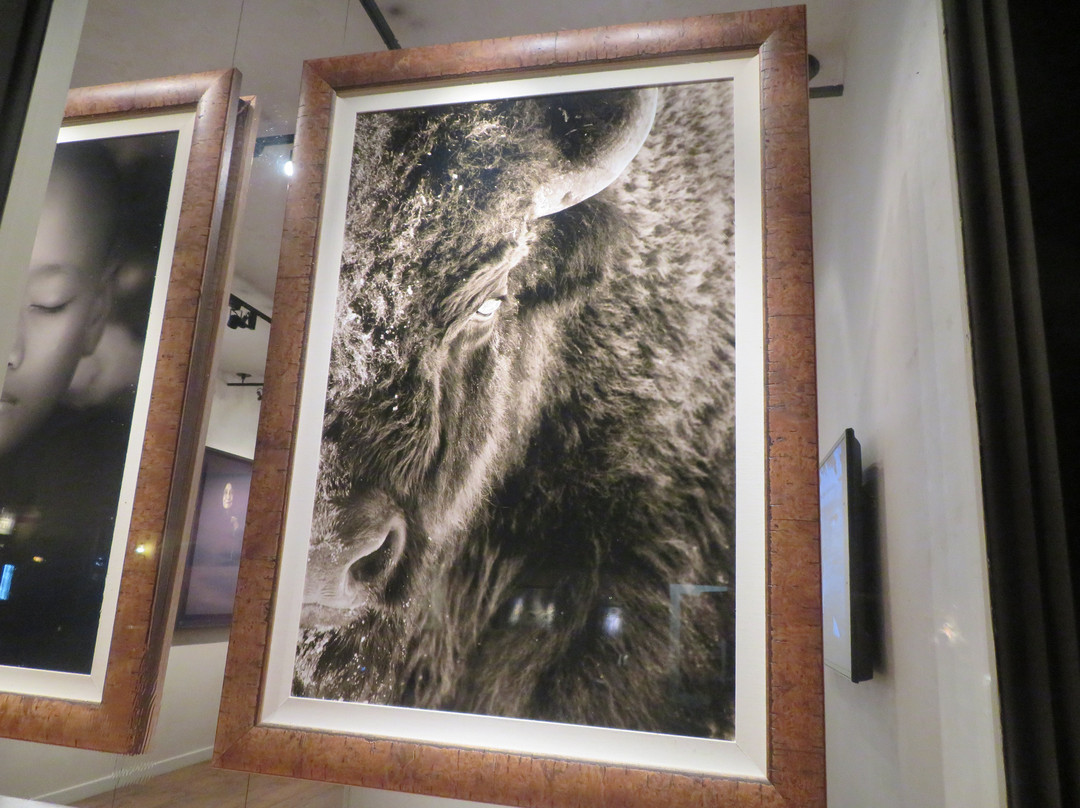 Robert Knight Gallery-卡梅尔必去景点