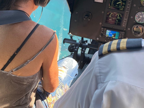 Cape Town Fynbos Experience-开普敦中心区必去景点