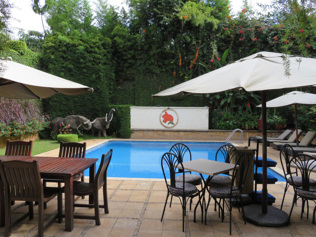 非洲郁金香宾馆主图