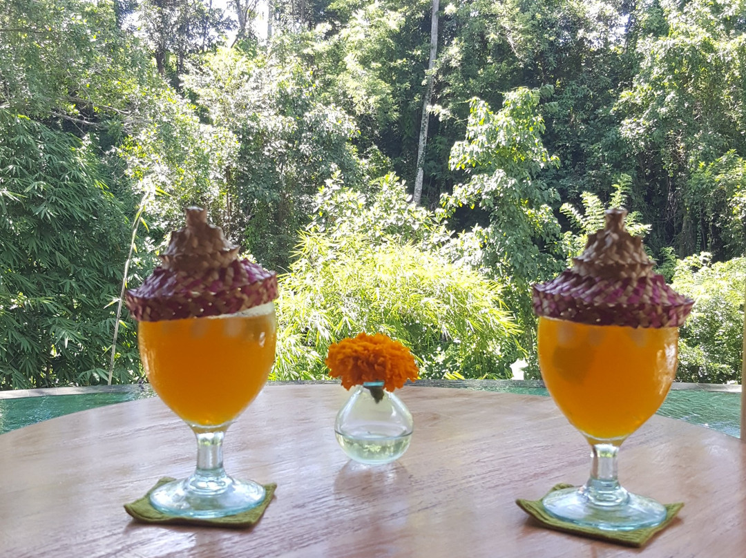 Jungle Lotus Villas主图