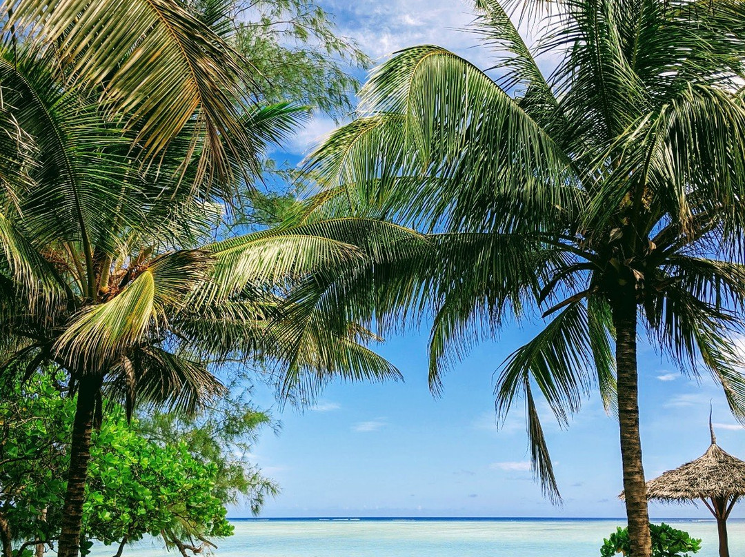 Pemba Eco Lodge主图