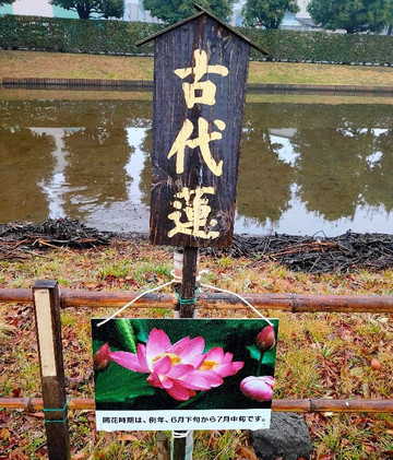 Urawa Kurashi No Hakubutsukan Minkaen-埼玉市必去景点