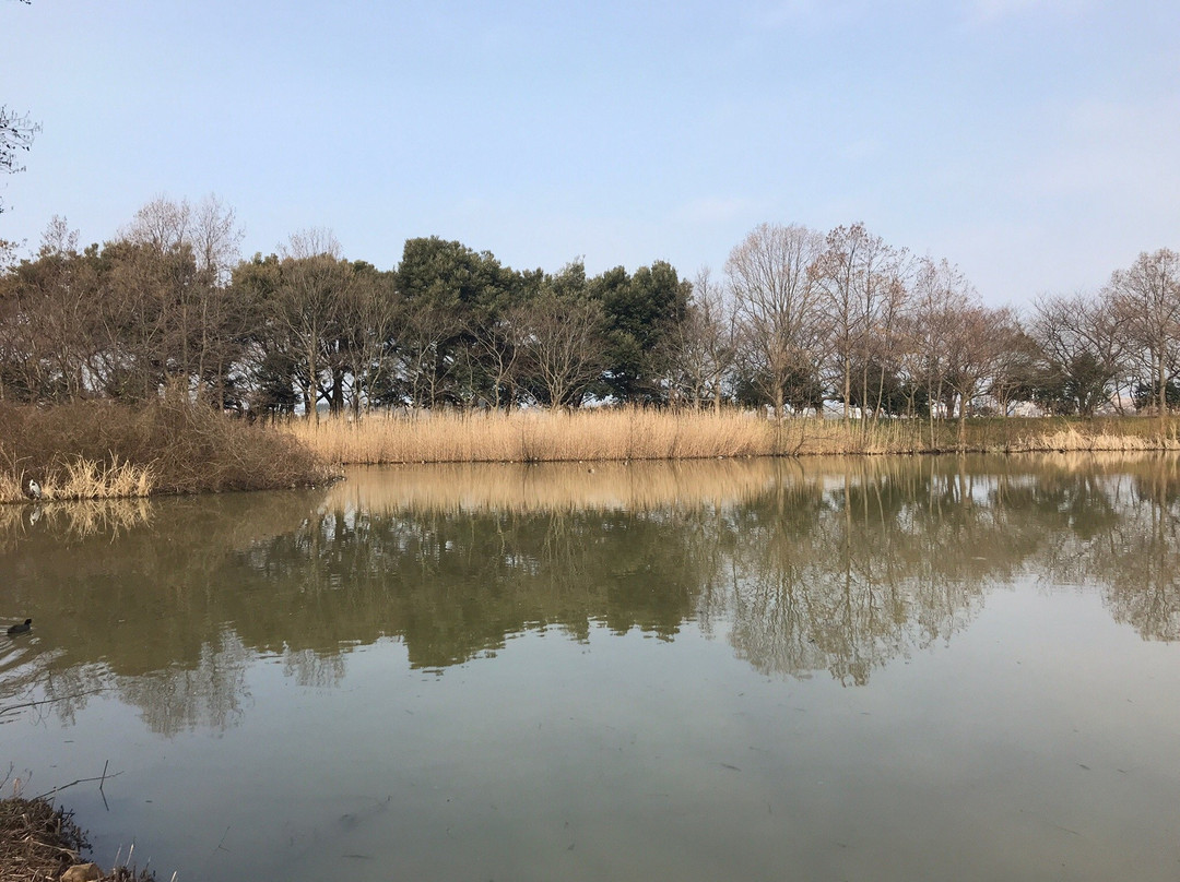 Toyanogata Park景点图片