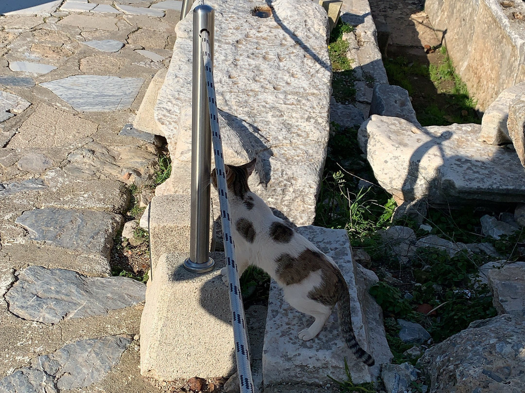 Agora Open Air Museum景点图片