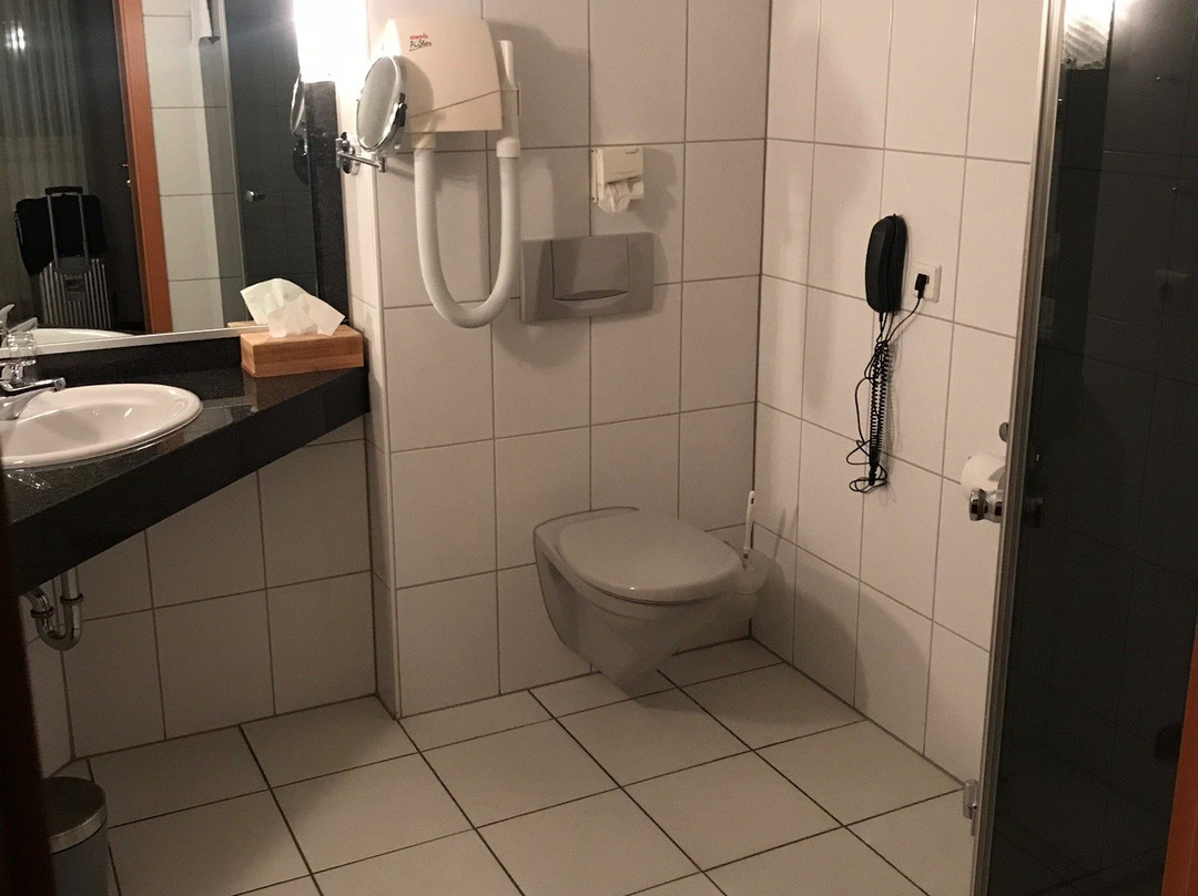 Hotel Edelfinger Hof主图