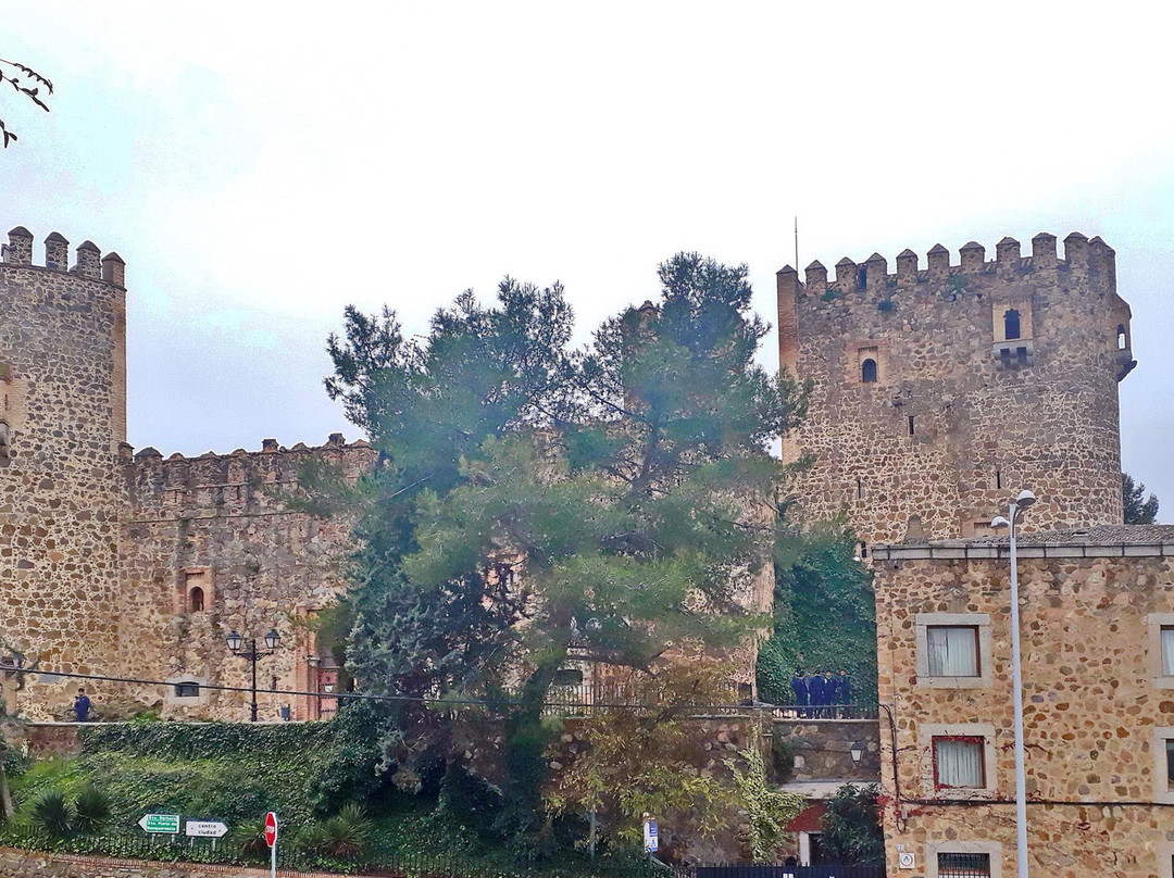 Castillo de San Servando景点图片