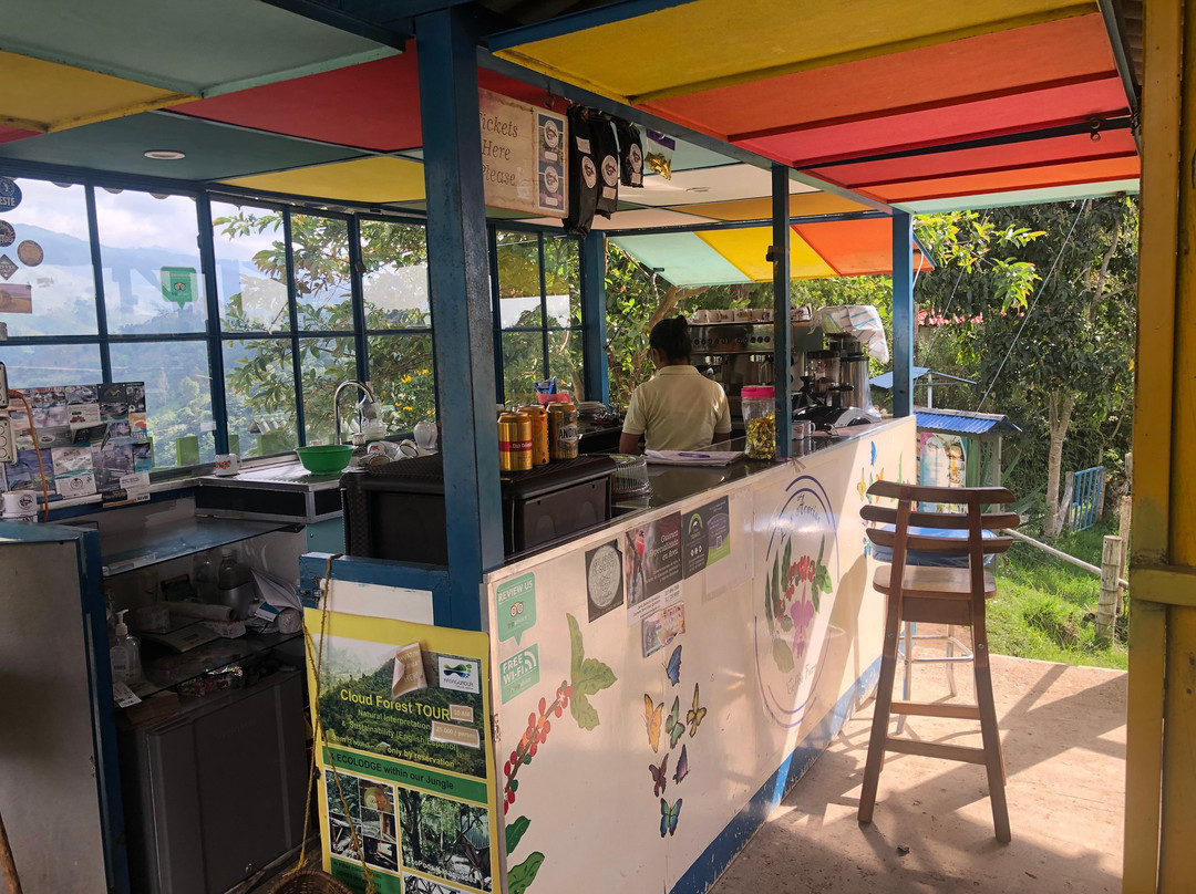 Las Acacias Coffee Farm-萨伦托必去景点