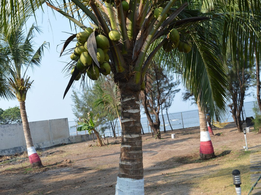 O'Nest by The Beach主图