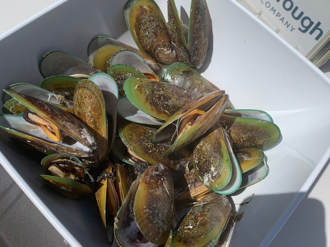 Greenshell Mussel Cruise景点图片