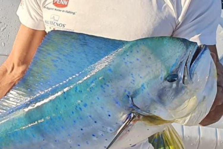 Noah Fishing Charters-奥德杰海岸必去景点