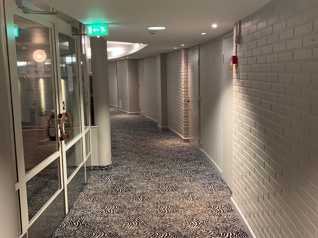Hotel Sorsanpesa主图