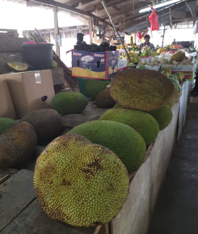 Jaffna Market-贾夫纳必去景点