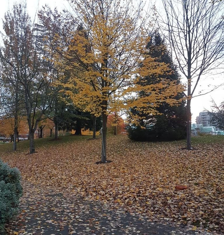 Waterfront Park-北温哥华必去景点