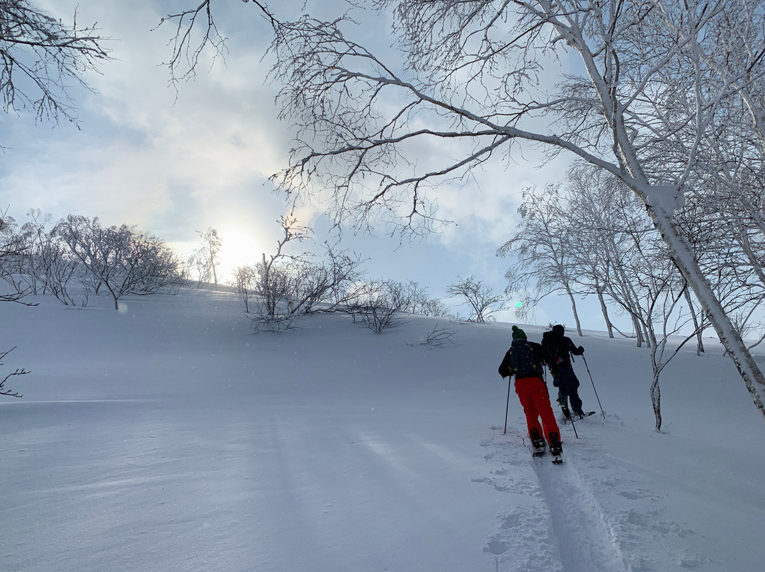Japan Powder Connection-二世谷町必去景点
