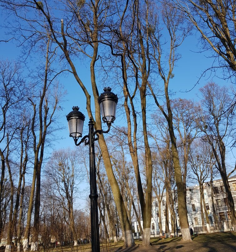 Mariinsky Park景点图片